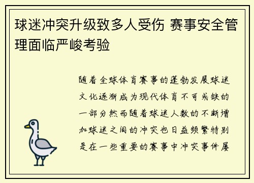 球迷冲突升级致多人受伤 赛事安全管理面临严峻考验
